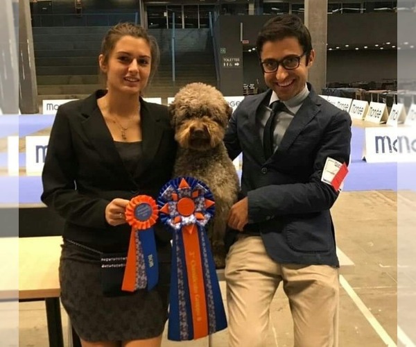 Medium Photo #2  Breeder Profile in LYNDEN, WA, USA