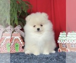 Small #4 Breeder Profile image