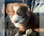 Small #4 Breeder Profile image