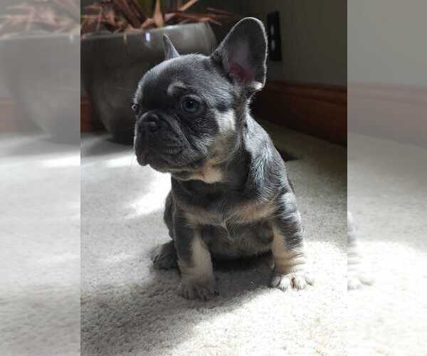 Medium Photo #9  Breeder Profile in NORTH BRANCH, MN, USA