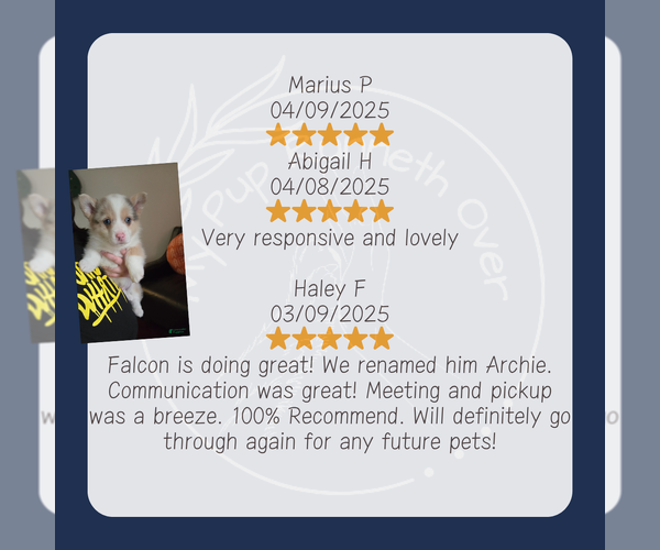 Medium Photo #6  Breeder Profile in GOSHEN, IN, USA