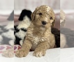 Small #7 Breeder Profile image