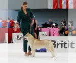 Small #11 Breeder Profile image