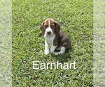 Small #8 Breeder Profile image