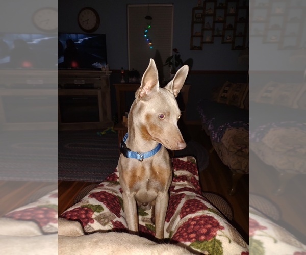 Medium Photo #1  Breeder Profile in GREENWOOD, WI, USA