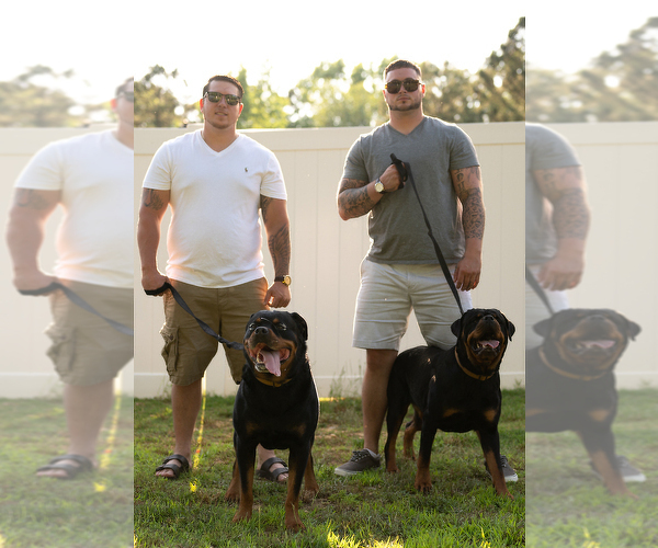 Medium Photo #1  Breeder Profile in SMITHFIELD, NC, USA