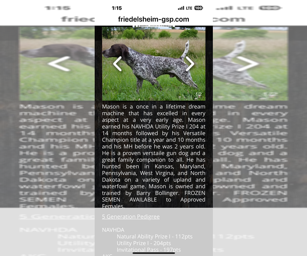 Medium Photo #32  Breeder Profile in LEXINGTON, SC, USA