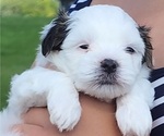 Small #2 Breeder Profile image