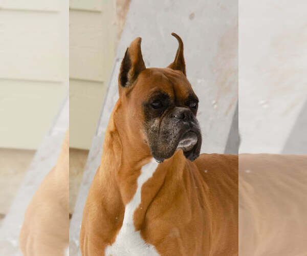 Medium Photo #3  Breeder Profile in CLEVELAND, TX, USA