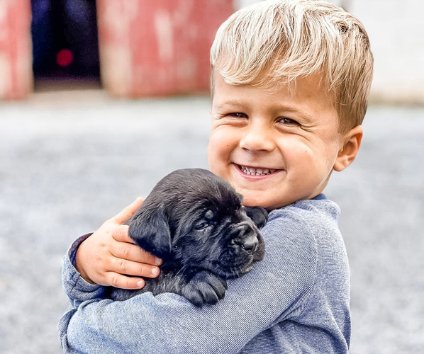 Medium Photo #1  Breeder Profile in STEVENS, PA, USA