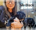 Small #5 Breeder Profile image