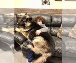 Small #5 Breeder Profile image