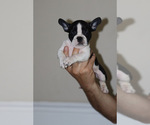 Small #10 Breeder Profile image