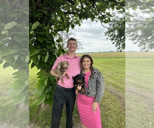 Dachshund Dog Breeder near RENO, TX, USA