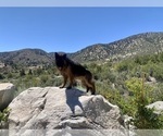 Small #13 Breeder Profile image