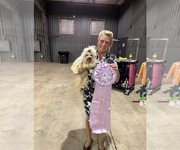 Medium Photo #36  Breeder Profile in THOMASTON, GA, USA