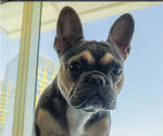 Small #3 Breeder Profile image