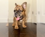 Small #1 Breeder Profile image