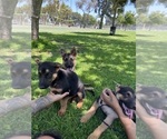 Small #1 Breeder Profile image