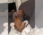 Small #7 Breeder Profile image