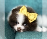 Small #24 Breeder Profile image