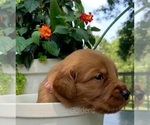 Small #5 Breeder Profile image