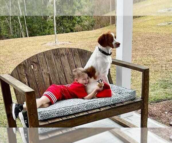 Medium Photo #86  Breeder Profile in HORTENSE, GA, USA