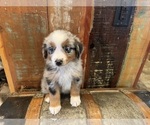 Small #6 Breeder Profile image