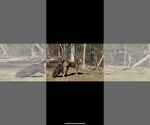 Small #4 Breeder Profile image