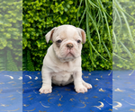 Small #2 Breeder Profile image