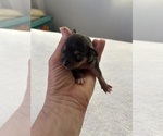 Small #8 Breeder Profile image
