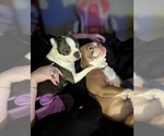 Small #2 Breeder Profile image