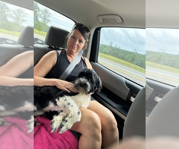 Medium Photo #8  Breeder Profile in BAYTOWN, TX, USA