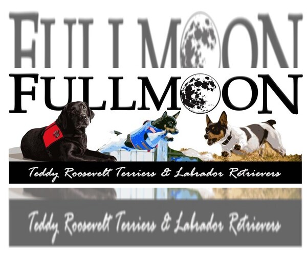Medium Photo #1  Breeder Profile in MONTGOMERY, AL, USA