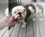 Small #4 Breeder Profile image