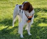 Small #4 Breeder Profile image