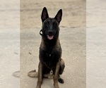 Small #1 Breeder Profile image