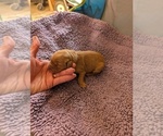 Small #13 Breeder Profile image