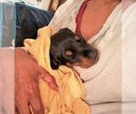 Small #9 Breeder Profile image