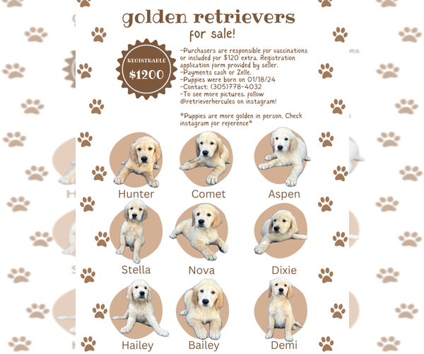 Medium Photo #1  Breeder Profile in MIAMI, FL, USA