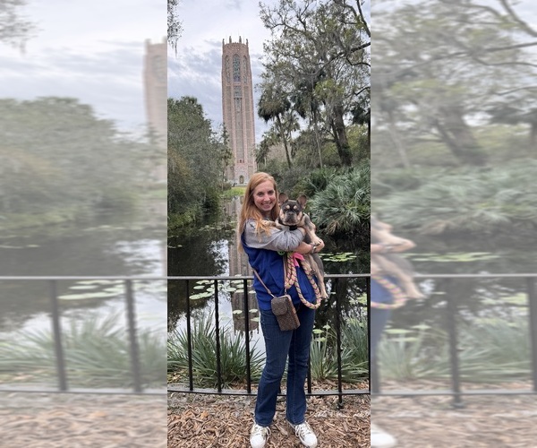 Medium Photo #13  Breeder Profile in LAKE WALES, FL, USA