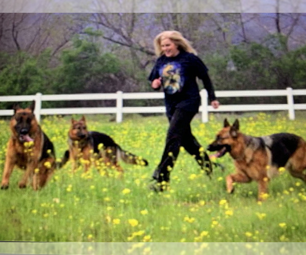 Medium Photo #2  Breeder Profile in WILDOMAR, CA, USA