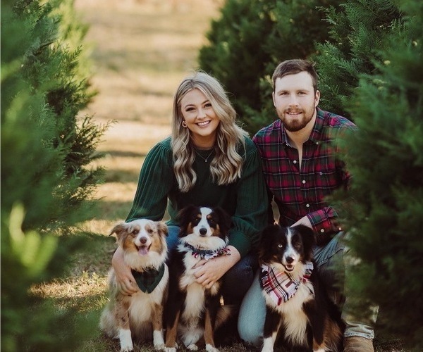 Medium Photo #1  Breeder Profile in TAYLORSVILLE, MS, USA