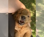 Small #31 Breeder Profile image