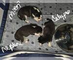 Small #2 Breeder Profile image