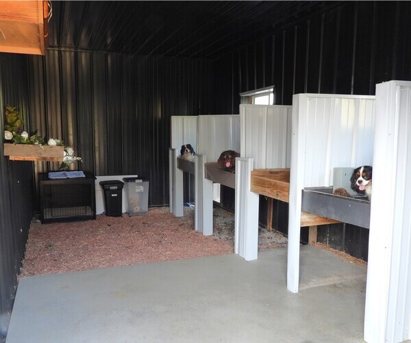 Medium Photo #2  Breeder Profile in CARLISLE, KY, USA