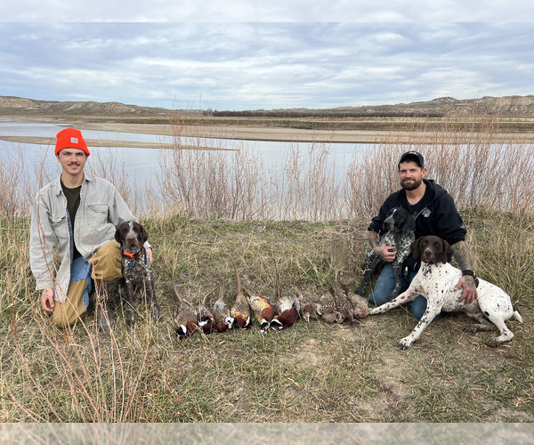 Medium Photo #11  Breeder Profile in EVANSVILLE, WY, USA