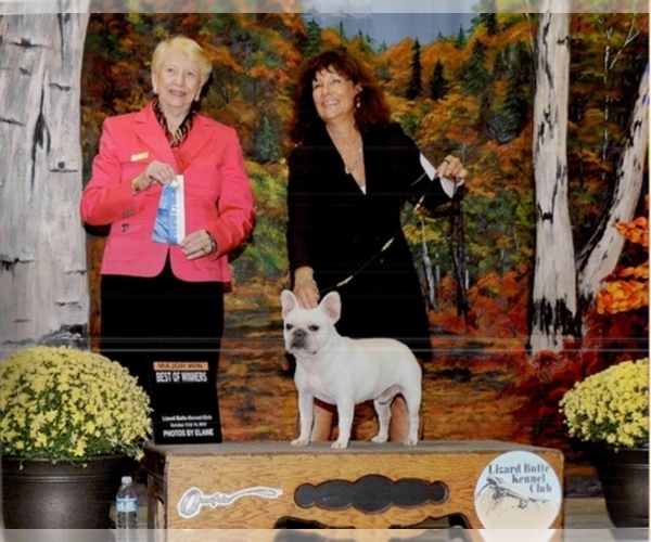 Medium Photo #1  Breeder Profile in EMMETT, ID, USA