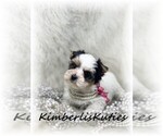 Small #3 Breeder Profile image