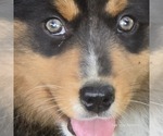 Small #18 Breeder Profile image
